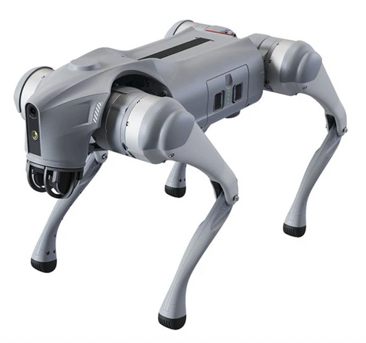 Norsat GQR0116L Intelligent Quadruped Robot - Lite